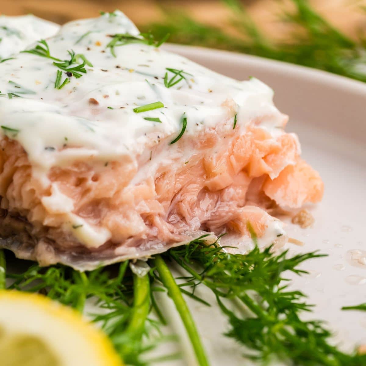 Goodbye Dry Salmon: Hands-Off Sous Vide for Buttery, Tender Fillets